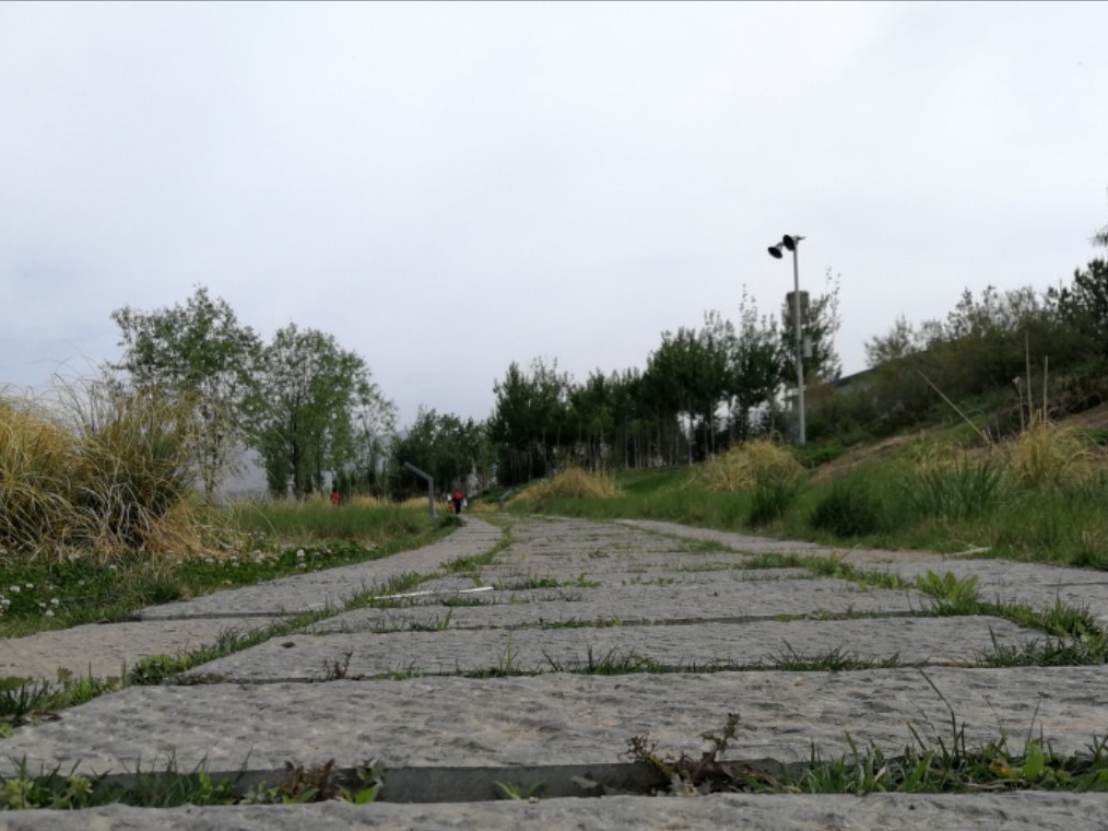 八月十四日日记,八月十四日记梦诗文