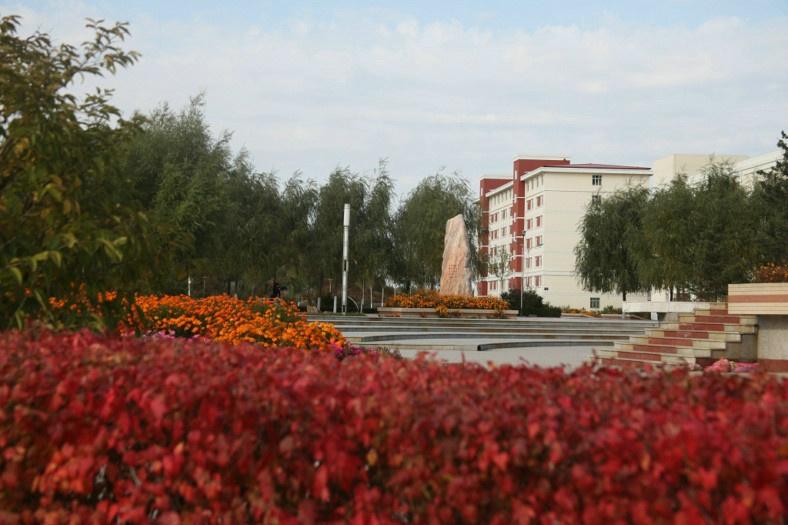 黑龙江省200-300分的公办专科学院,哈尔滨华德学院和东方学院哪个好