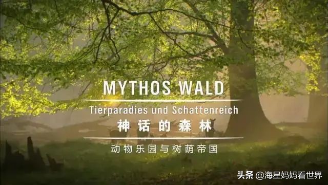 假期最值得看的四部纪录片,适合暑假看的5部神级纪录片