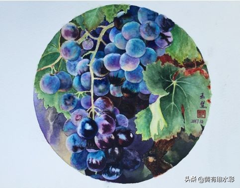 晶莹剔透的葡萄,水彩葡萄图片