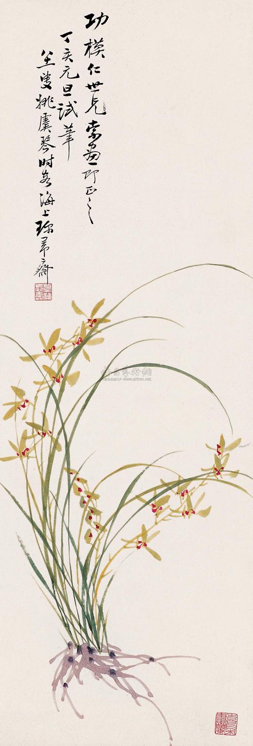 淡彩兰花100幅,顶级淡彩兰花图片