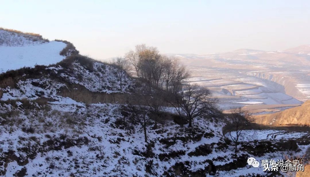 会宁新塬杨坪,会宁新塬镇杨坪村