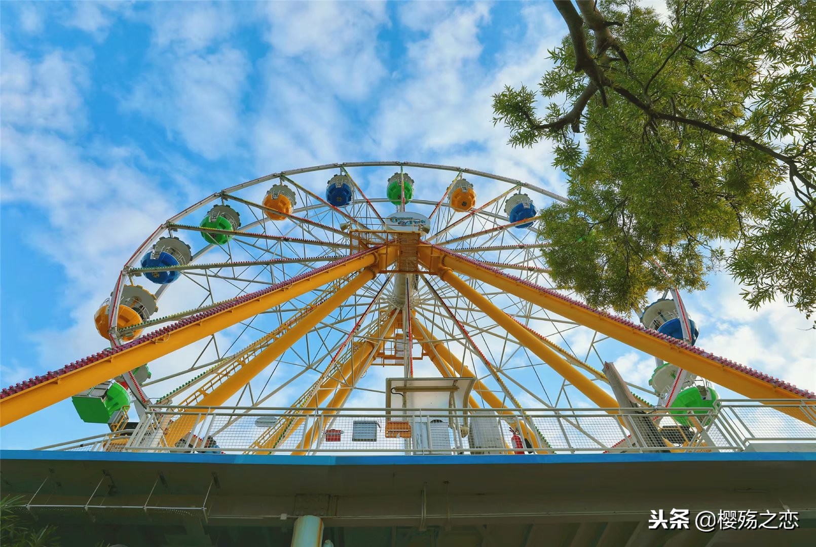 香港海洋公园有什么玩,香港海洋公园刺激排行