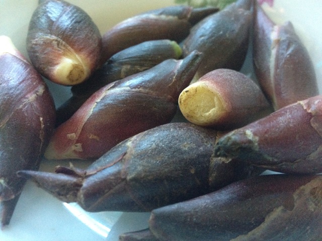 只有农村才有的野味8090后的回忆，吃过五种以上的很幸福