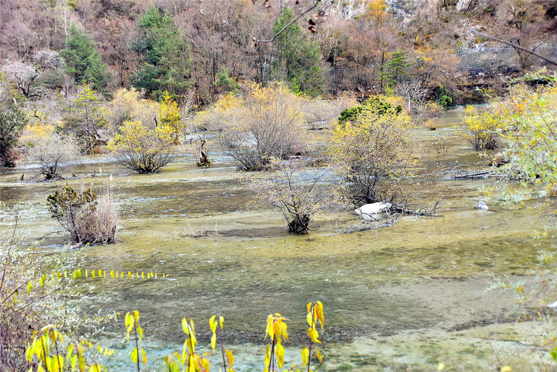 置身于童话中的九寨沟,畅游人间仙境黄龙九寨沟七日游