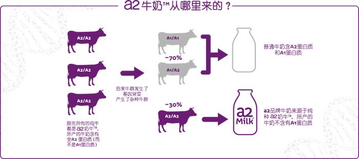 年度大赏彩妆篇,年度大赏精华