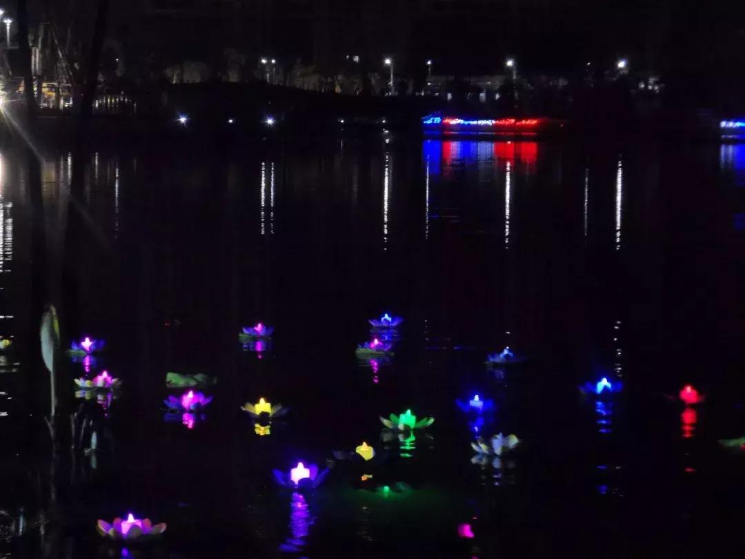 小榄菊花展团购,小榄菊花会2020门票