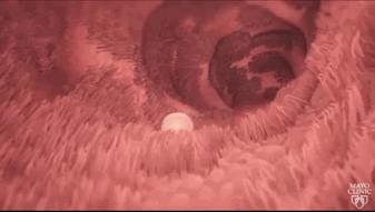 月经干净的第一天有怀孕的吗,月经干净第一天怀孕的有吗