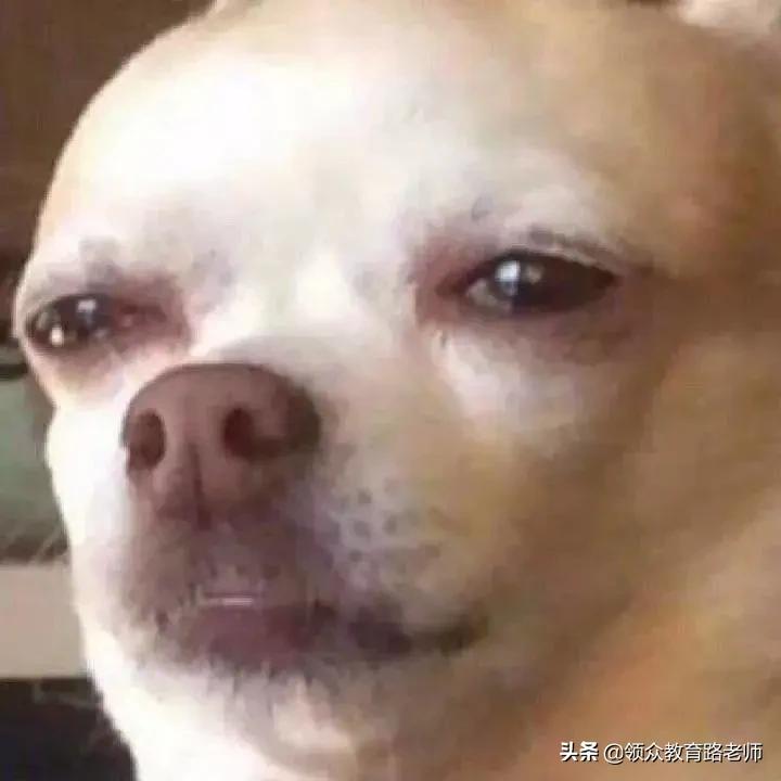 简短有意义的微信号修改,修改哪些有意义的微信号