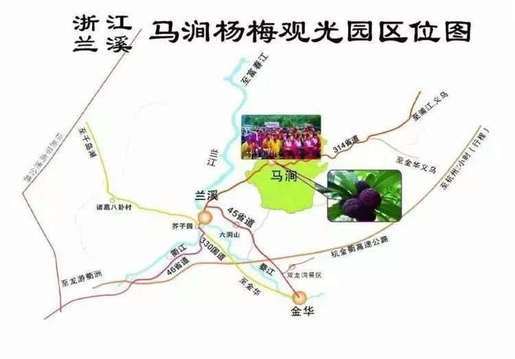 兰溪杨梅正式开摘！最强采摘攻略出炉，五十里杨梅长廊够吃吗？杨梅自由就是现在！