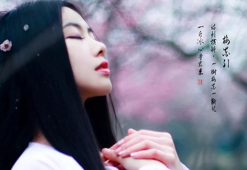 梦里花落知多少24集,梦里花落知多少