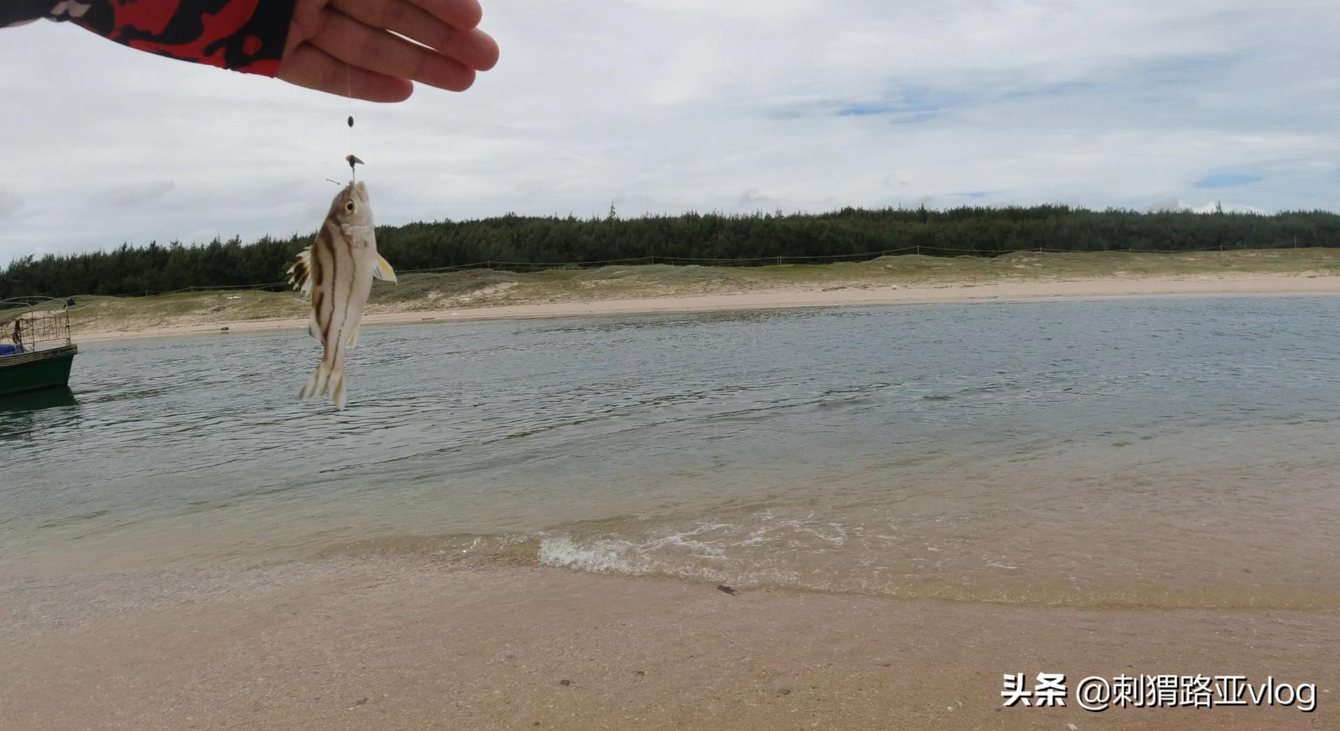 路亚钓海鱼视频,路亚钓鱼近岸小范围作钓攻略