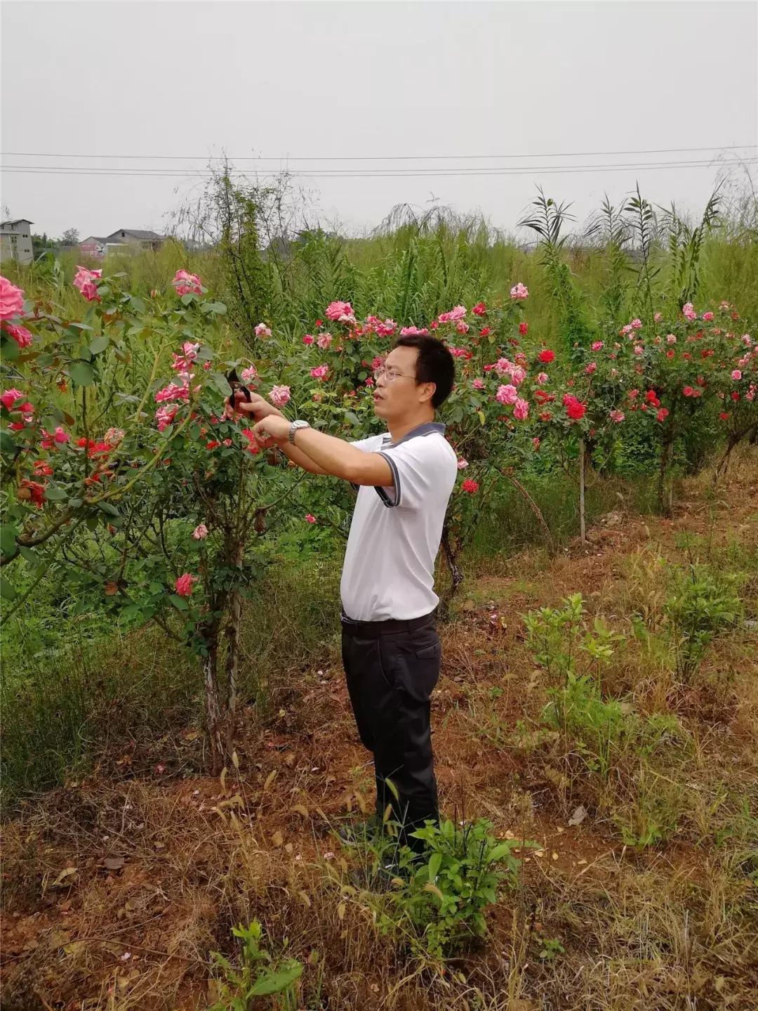学历最高的农民,中国学历最高的农民