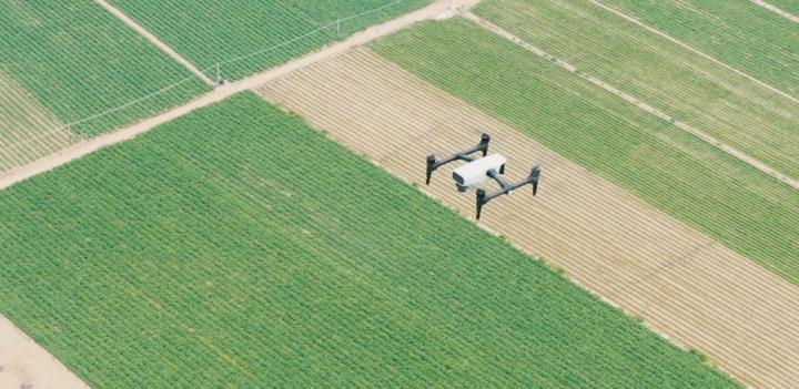 新疆棉花辟谣,辟谣新疆和田