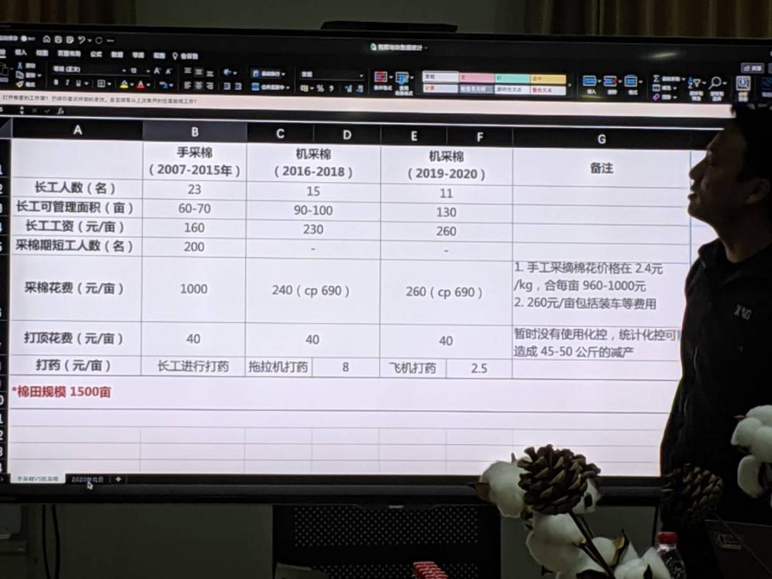 棉田里的边缘战事