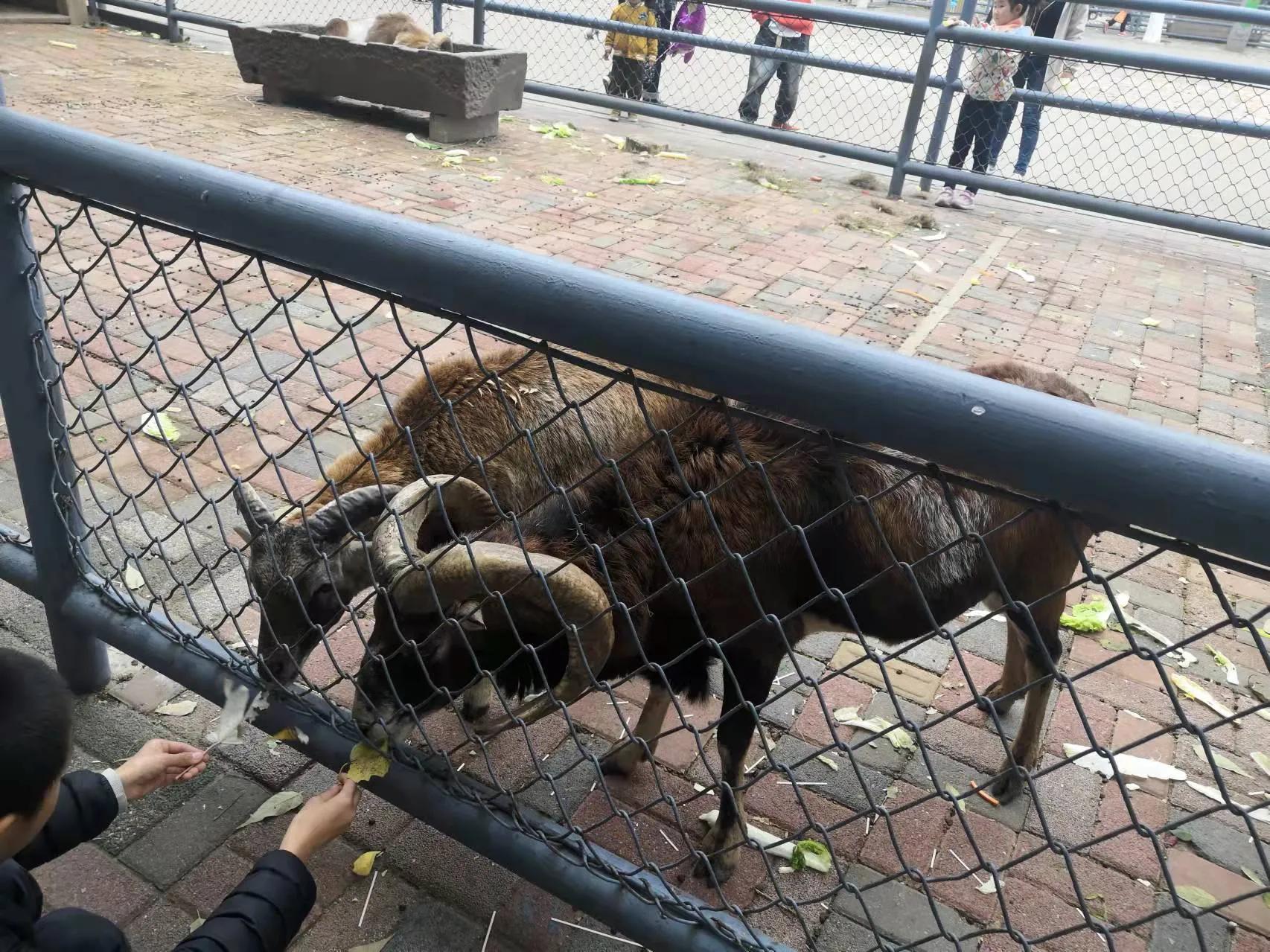 长白岛森林公园地铁,长白岛森林公园打卡攻略