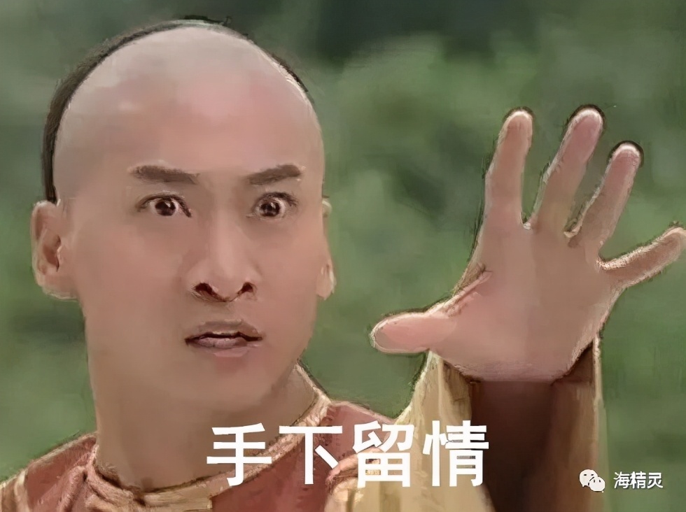 活石上不请自来的“偷渡客”，你们都是谁？