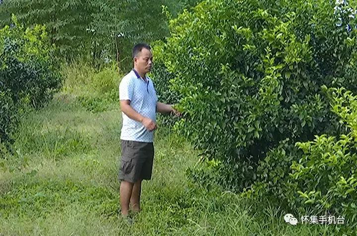 「创业」马宁镇苏新兴：发展种养业带领村民增收致富