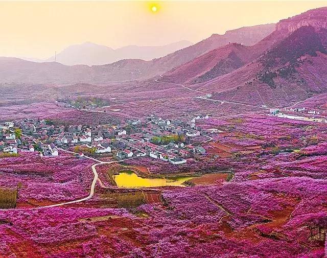 临沂周边田园综合体,临沂十大田园综合体