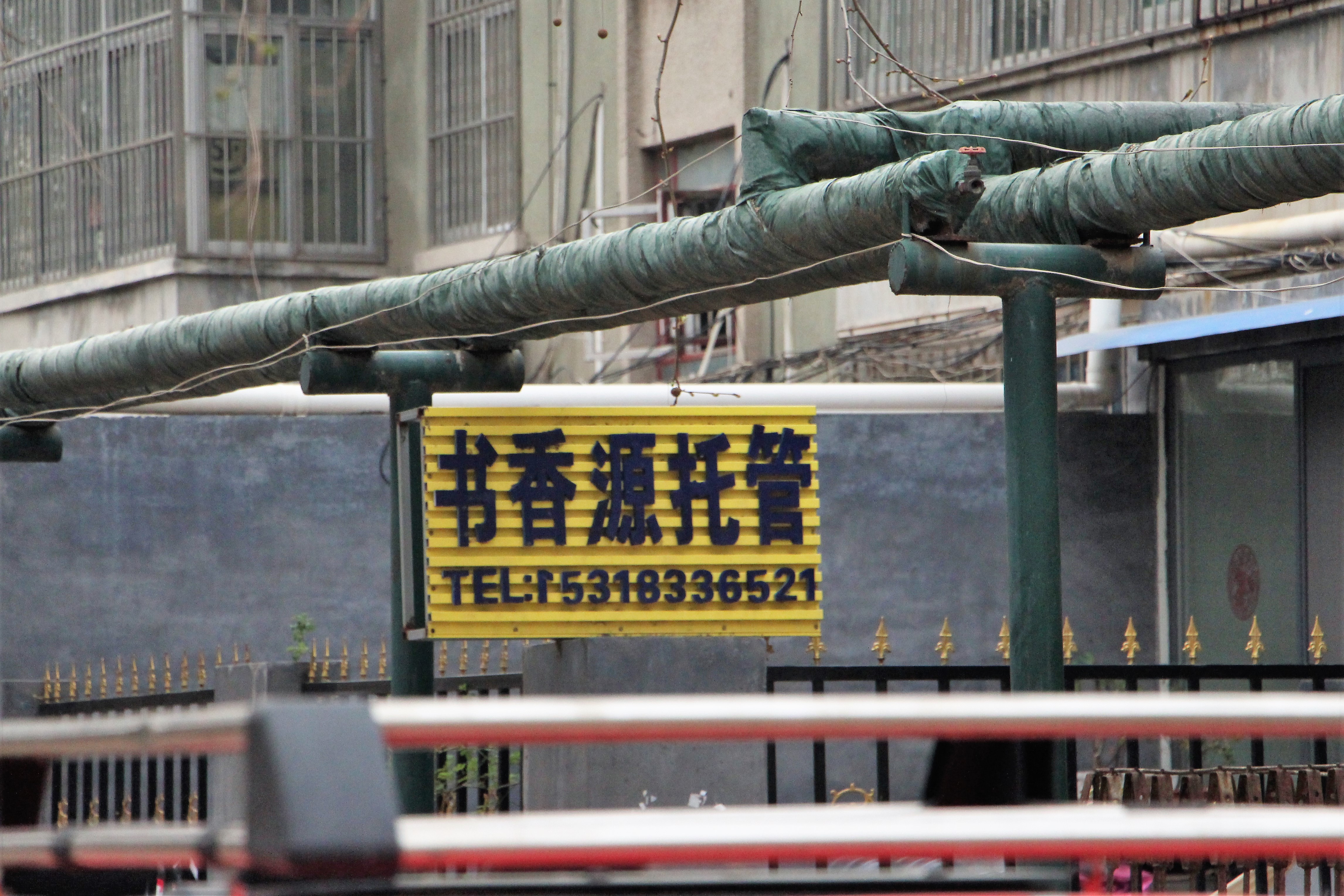 山东东营石大校区,东营市石大附中小学