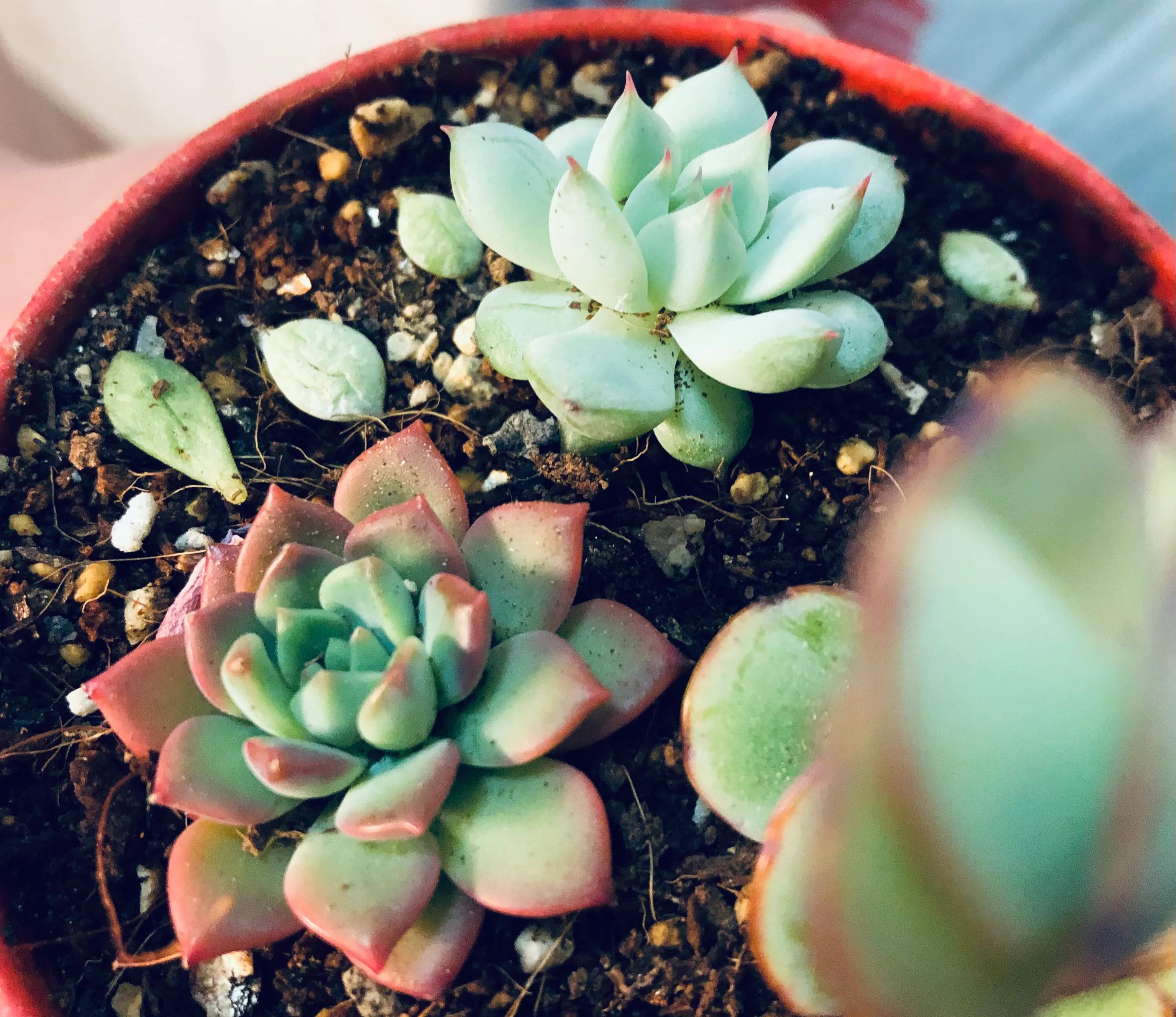 信念系统是潜意识吗,重塑潜意识信念系统