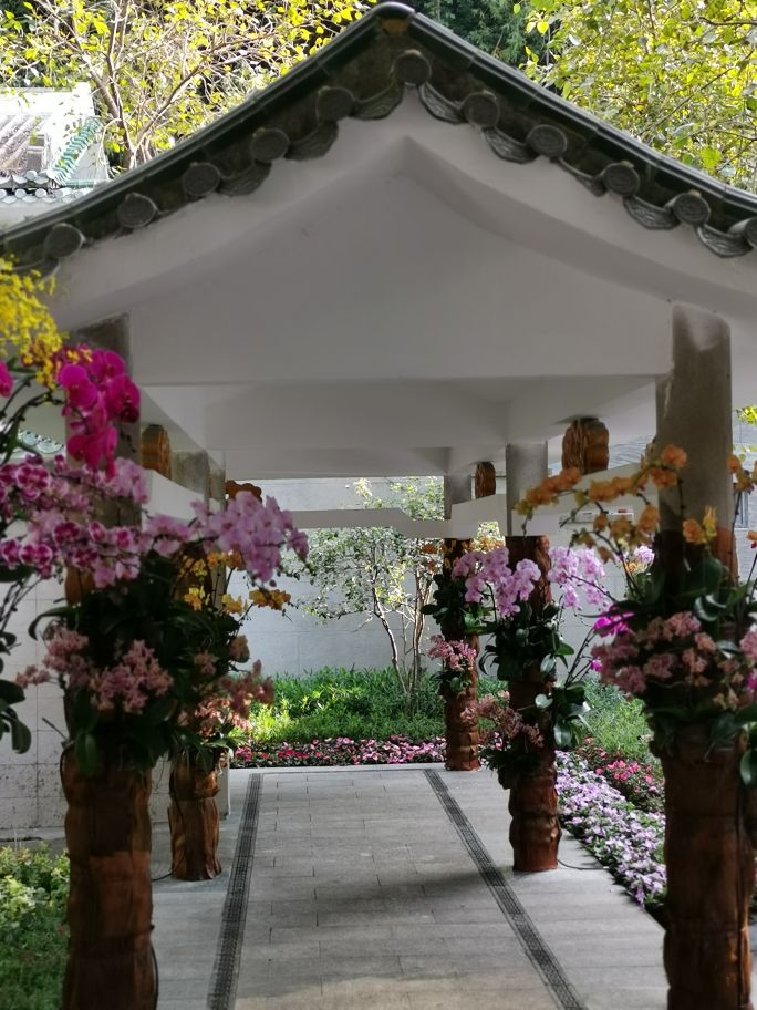 四面青山皆入画羊城无日不飞花白云山游记