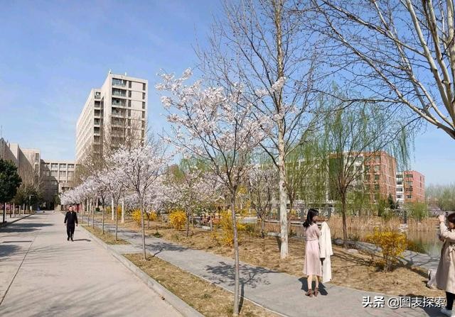 安阳工学院专科可以升本吗,安阳工学院中专升大专