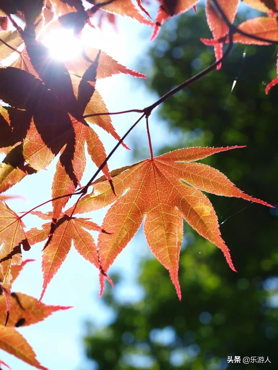 一定要去的五十个最美的地方中国,一生中必去中国100个最美的地方