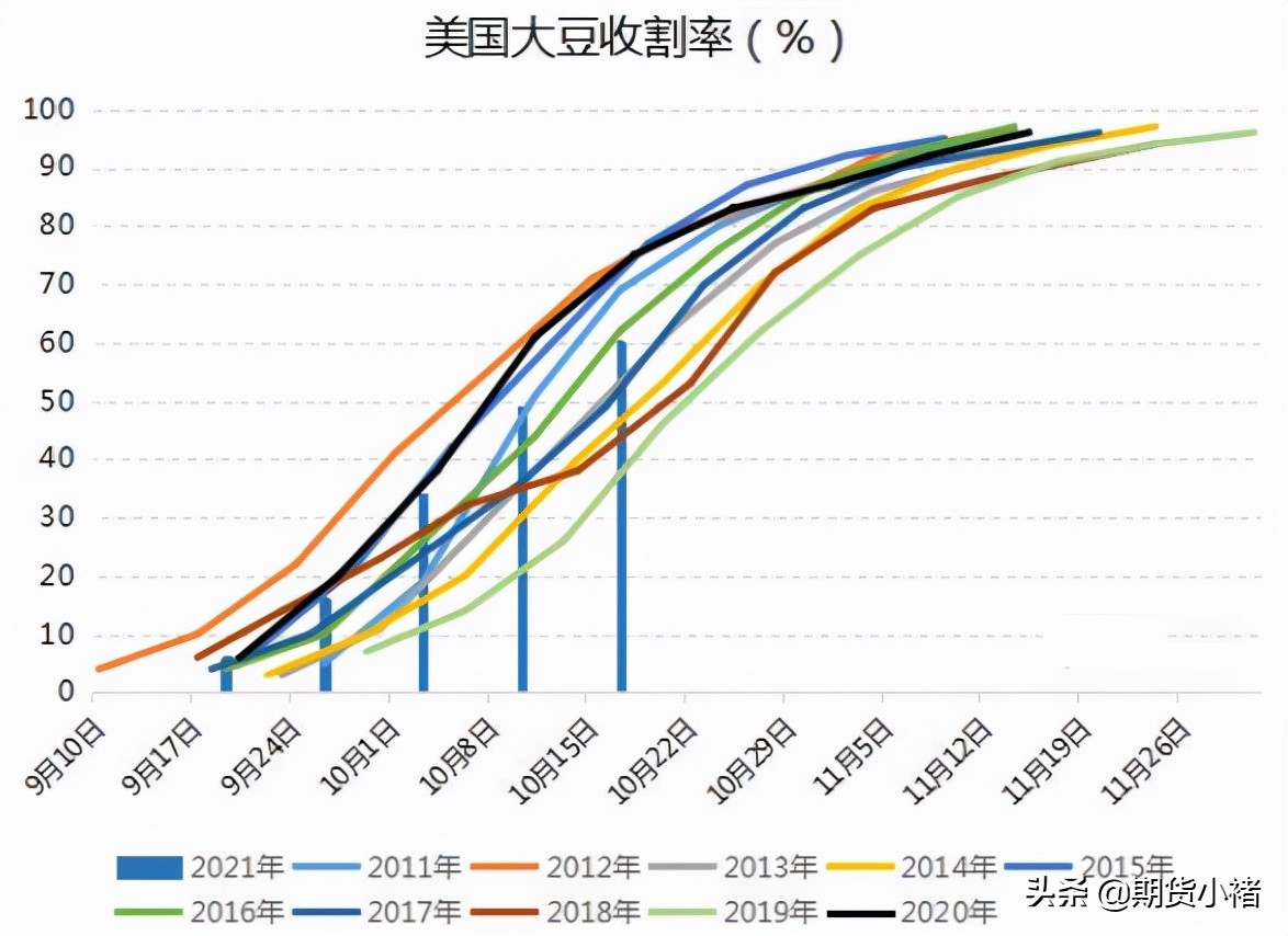 大豆竞拍利好豆粕,大豆拍卖火爆视频