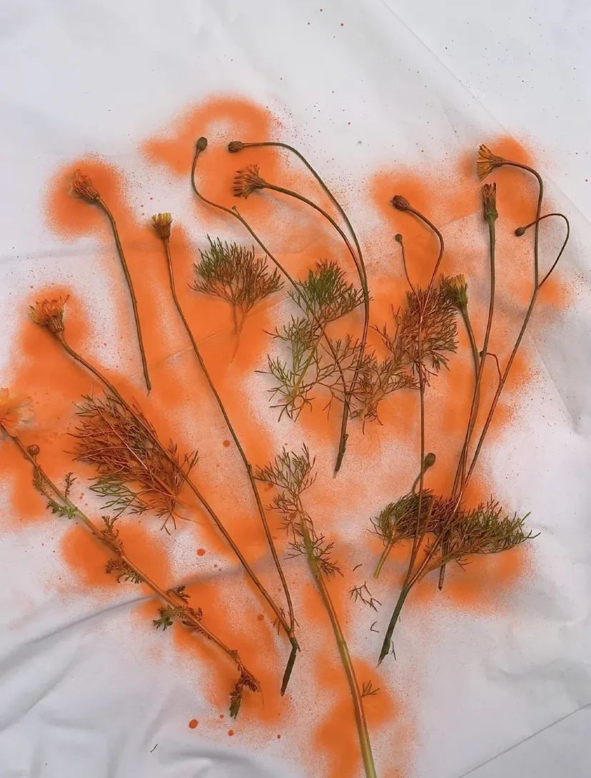 这些比高定还稀缺的单品，居然不用花一分钱