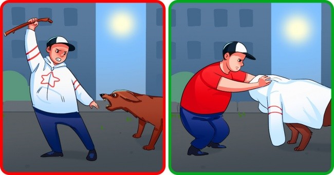 如何防止自己的狗被其他狗攻击,狗的弱点口诀