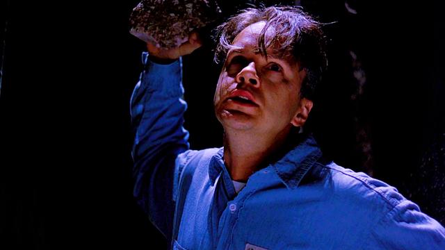 肖申克的救赎为什么要砸破管子,肖申克的救赎中的鸟代表什么