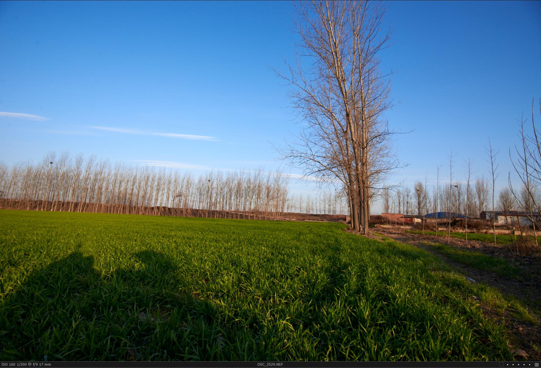 冷门照相机,冷门相机经典镜头