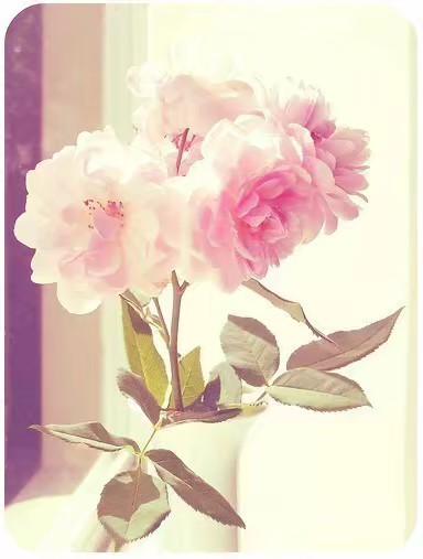 情商高的十大表现你了解几个,情商高的十大表现有哪些方面