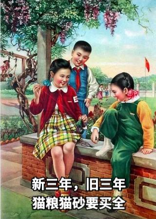 祺鑫养猫实录,穷人养猫实录