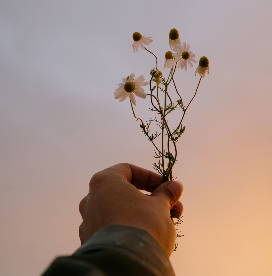 网易云热评看不透,网易云很有深意的热评