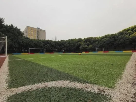 武侯k12,成都k12民办中学