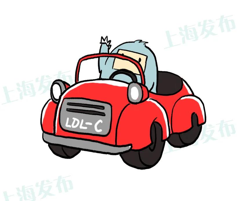 怎么看懂胆固醇体检报告,体检胆固醇高是因为高血脂么