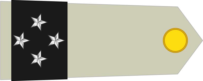 法国将军军衔等级,法国上校是什么军衔