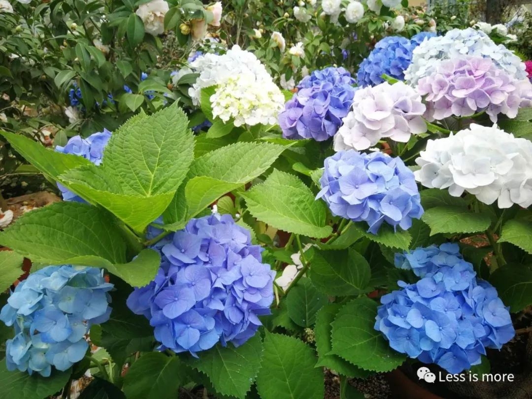 韩国济州岛超详细旅游规划攻略,韩国济州岛攻略自由行