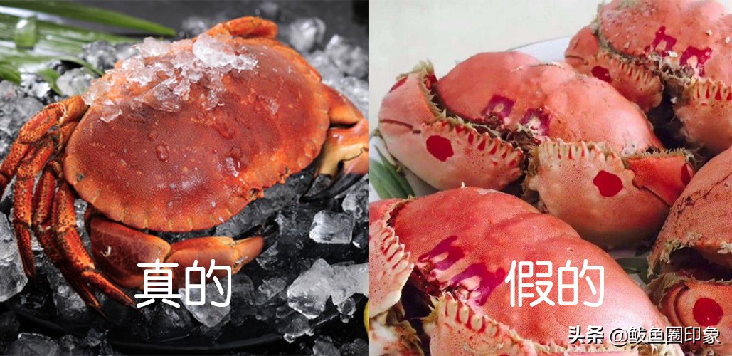 海鲜市场里的秘密：面包蟹其实价格很便宜