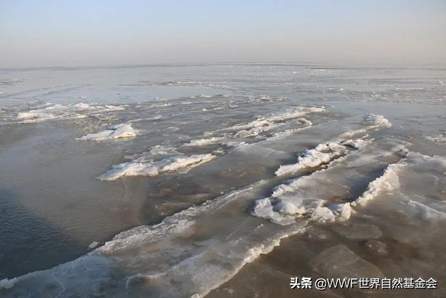 大连海兽馆,大连海兽