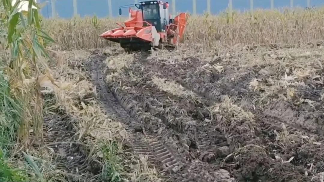 收玉米一万多元小型收割机,东北收割机收玉米多少钱一亩