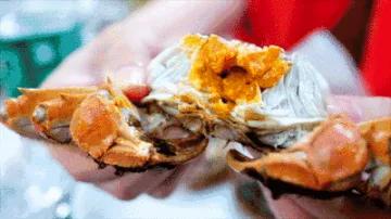 秋风起，欧美各国一提这种生物就如临大敌，一只活的能卖50美元