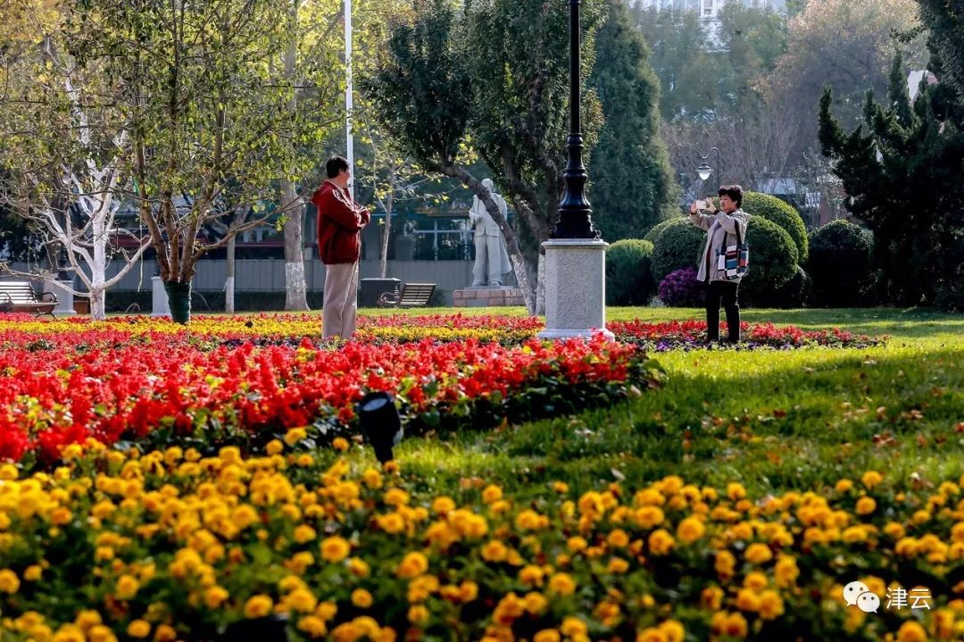 中心公园现状,城市中心公园