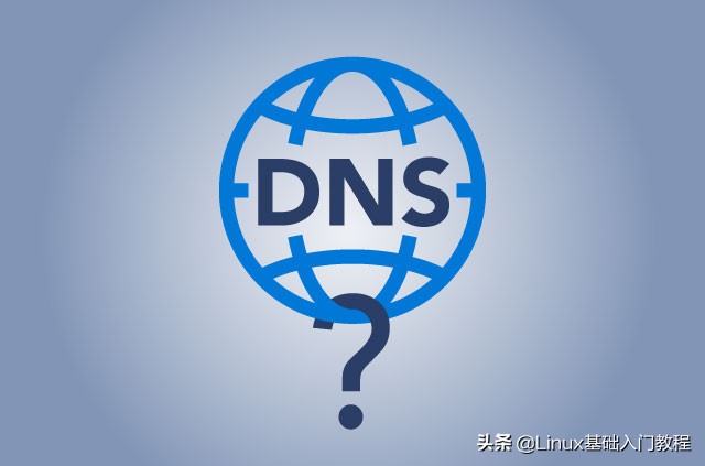 linux怎么查询本机的DNS,linux服务器dns怎么查