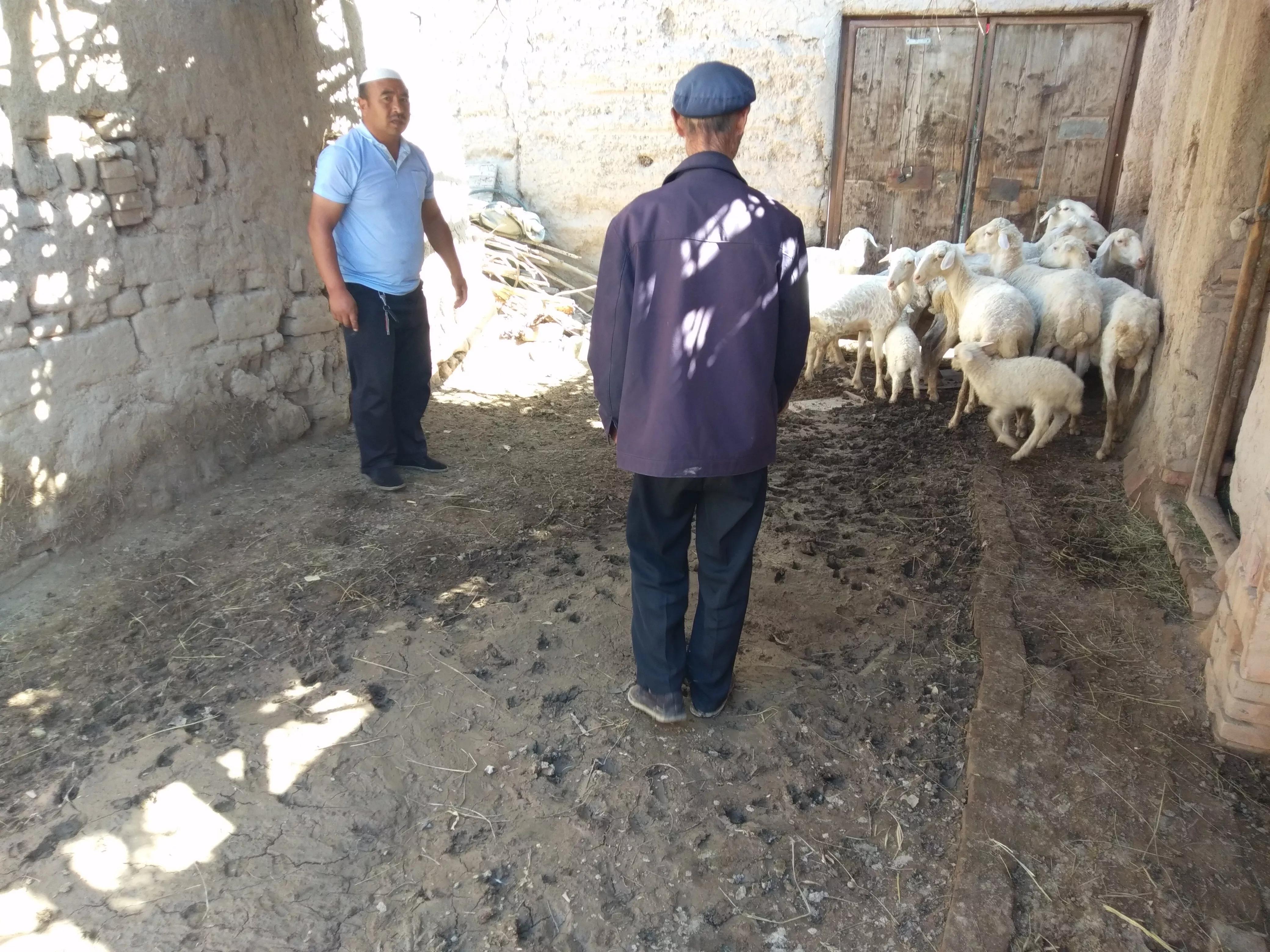 再谈赚钱和生活,再谈年收益