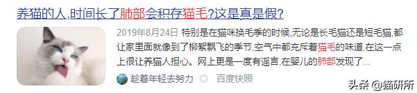 天天吸猫猫毛会被吸进身体里吗,肺里能吸进猫毛么