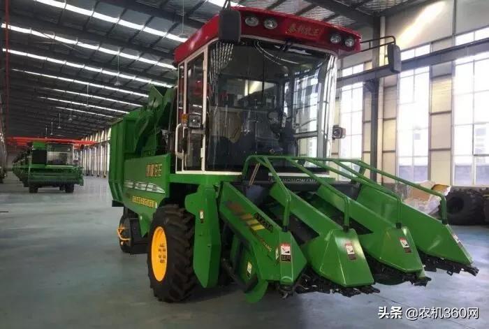 2023年鲜食玉米热销排行榜,2021年玉米双收排行