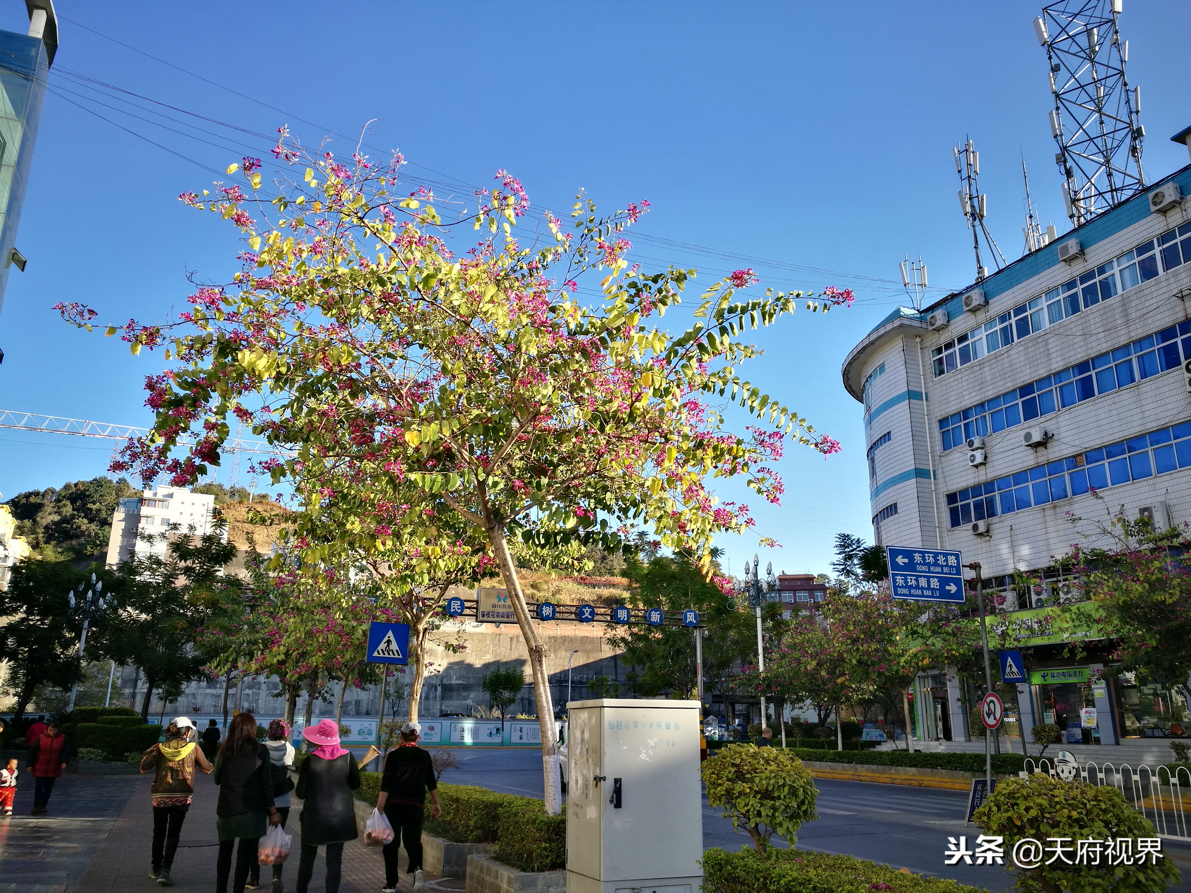 攀枝花盐边县新县城全景,攀枝花盐边县风景区